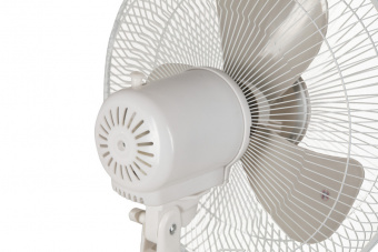 OASIS VF-40PWG фото в  интернет магазине liniyatoka.ru
